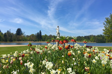 Frühling Schlosspark (Foto: Seefeld)
